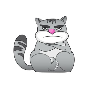 Angry tabby cat sticker .Vector illustration.