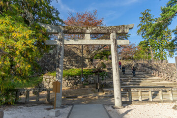 Fototapeta na wymiar 松江神社