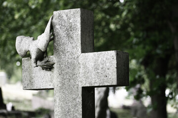 Stone cross with carved peace dove in graveyard