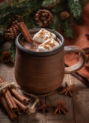 Cup of hot chocolate with marshmallows and cinnamon