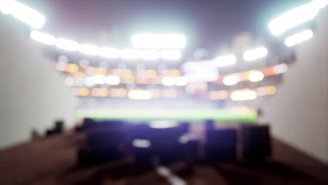 empty stadium arena with animated fans crowd in the night lights. waving flags around. High quality 4k footage render