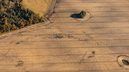 Luftbild von einem Feld mit Wildschweinspuren
