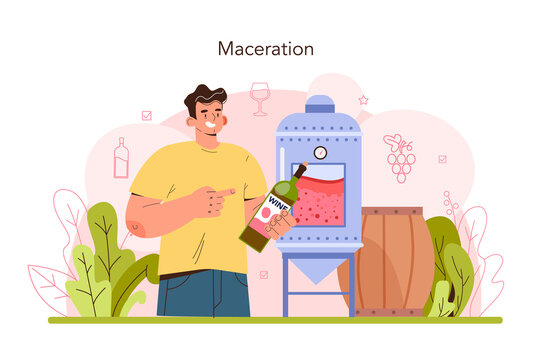 Wine Production. Red And Rose Wine Maceration. Alcohol Drink Characteristics