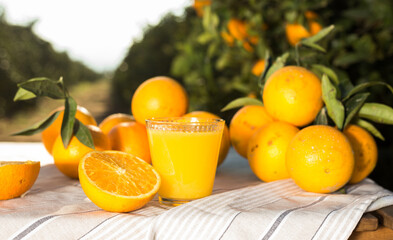 orange juice and oranges on table in orchard