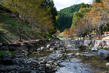Naklejka na ściany i meble 秋の公園の風景。手前から奥に向かって渓流が流れている。川の両側の木々には秋の気配が感じられる、右岸にはテントも見える。