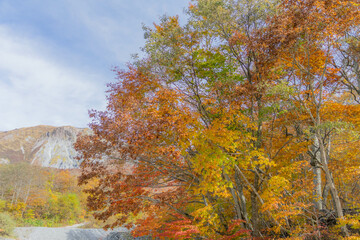 Obraz premium 大山