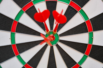 darts target in the forest on the tree