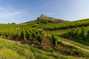 Fototapeta na wymiar Rock of Solutre with vineyards, Burgundy, Solutre-Pouilly, France