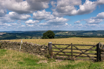 Fototapeta na wymiar landscape with fence and blue skies and clouds, farming scene in the UK