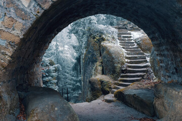 Fototapeta premium Broumovske Steny Mountains in Eastern Bohemia, Czech Republic
