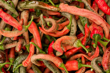 Red and green hot chili peppers
