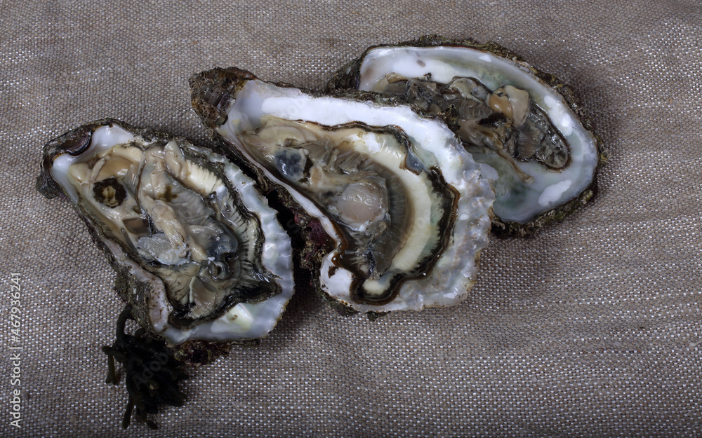 Canvas Prints Opened oysters on bagging