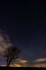 Obraz na płótnie Canvas tree with starry sky before dawn
