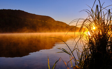 Sonnenaufgang am See mit Schilf