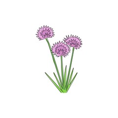 One continuous line drawing beauty fresh allium tuberosum for home wall decor poster art print. Decorative oriental garlic chives flower for greeting card. Single line draw design vector illustration - obrazy, fototapety, plakaty