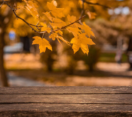 Naklejka na ściany i meble Empty old brown wooden table in front of background of autumn orange trees with bokeh for your display or montage 