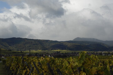 Mountains in Alsace