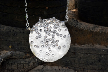 A metal target or gong for shooting sports firearms.