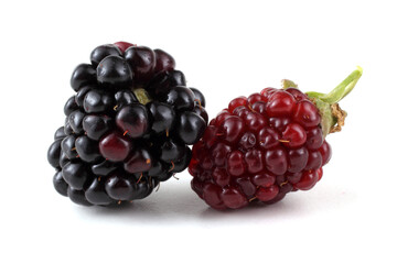 Blackberries isolated on white