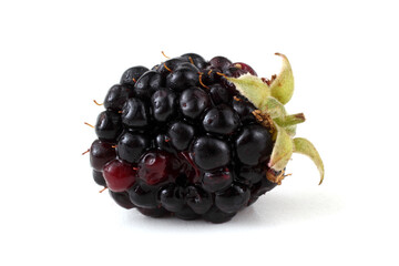 Organic blackberry