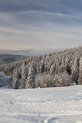 Fototapeta premium Winter landscape with Snezka, Giant Mountains (Krkonose), Northern Bohemia, Czech Republic