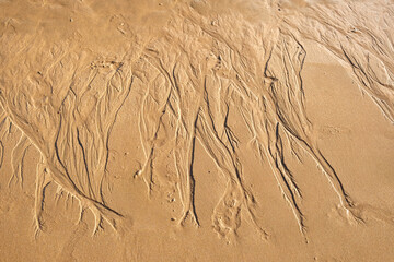 sand beach close up on a sunny day with marks on tenerife