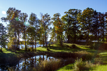 Autumn forest lake landscape reflection. Forest lake in autumn