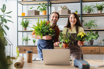 Positive florists in aprons holding plants near laptop in flower shop