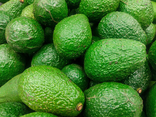 aguacate, fruta exotica 