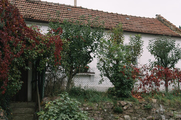 Exploring the city of Brno, hidden corners