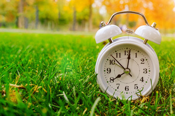the white clock shows eight o'clock in the morning. The clock stands on the grass, against a...