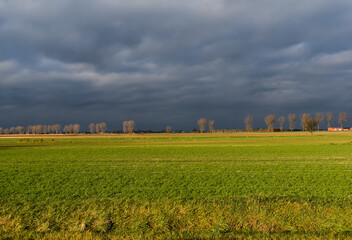 Zielone pola na wsi i zachmurzone niebo.