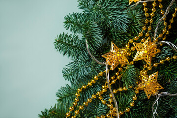 Christmas decorations and branches of nobilis. Stars and beads with needles on a paper green background