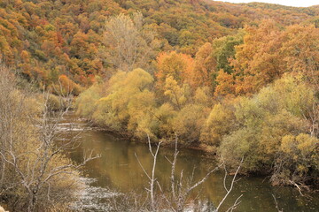 Castilla y León, Valdoré, Otoño.