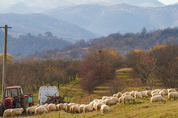 Cisnadie, Heltau in Rumänien