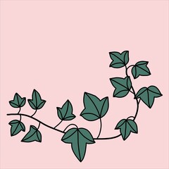 simplicity ivy freehand drawing flat design.