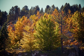 Autumn in the Pyrenees