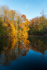 Fototapeta na wymiar Pond in Radisson Community at Baldwinsville, New York during Autumn