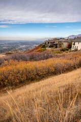 Vast of shrubs and bushes near the residential area of Alpine at Utah