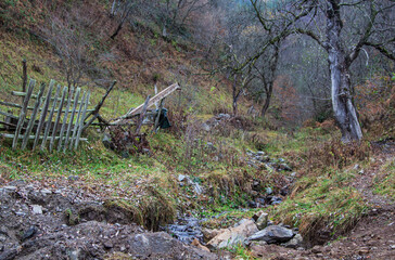 Autumn idyll in Sadu, Romania