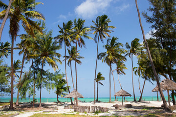 Beach resort with palm trees, Zanzibar island, Tanzania