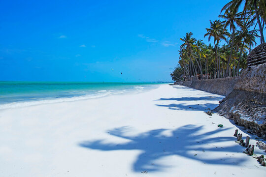 Tropical Beach at Zanzibar Island, Tanzania