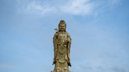 Obraz premium The guan yin buddha statue