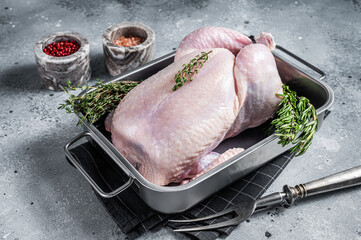 Whole raw Free range chicken in kitchen tray with herbs. Gray background. Top view