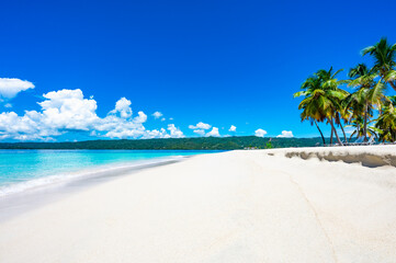 Fototapeta na wymiar Palm Ocean Sky Paradise