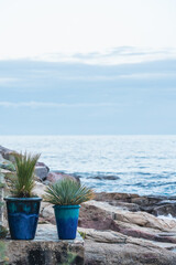 Jardin maritime