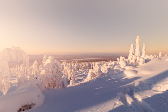 Sunset landscape with snow, Lapland, Finland
