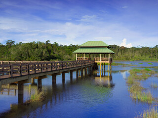 Fototapeta na wymiar Lalak Lake park in Labi, Brunei