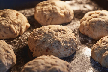Loaf of whole wheat bread leavening. selective focus