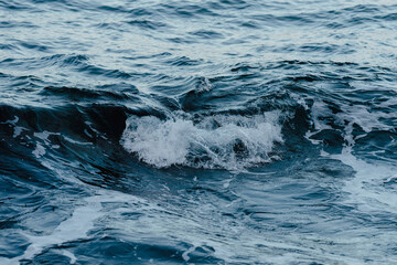 Dans la vague